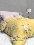 The White Moss Soft Cotton Ida Double Bedsheet With 2 Pillow Covers