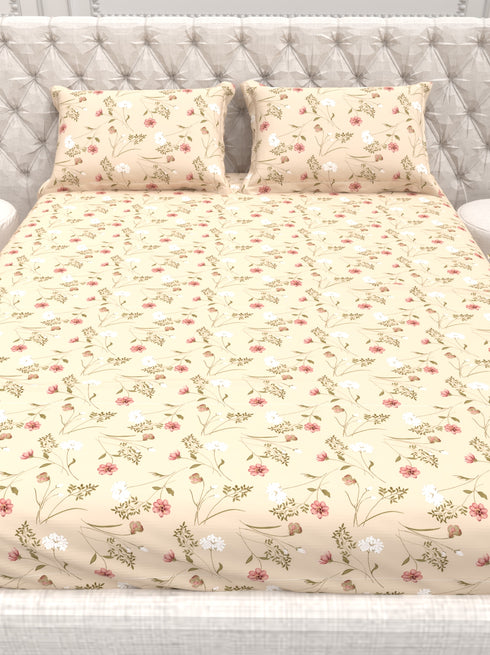 The White moss Cider Luxury Queen Size Bedsheet set with 2 Pillow Covers