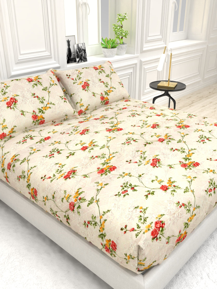 Georgia Double Size Satin Twill Bedsheet Set - Cream & Peach