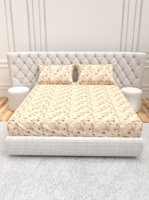 The White moss Cider Luxury Queen Size Bedsheet set with 2 Pillow Covers