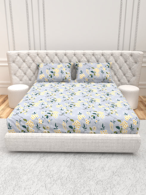 The White moss Cider Luxury Queen Size Bedsheet set with 2 Pillow Covers