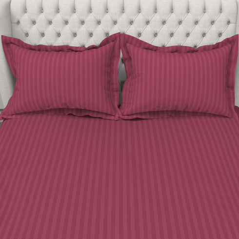 Blanc 100% Cotton Self Striped Satin 210 TC Fitted sheet with 2 pillow covers