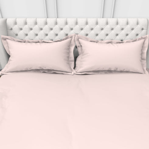 Alley Solid 100% Cotton 300 TC Fitted Sheet with 2 Pillow covers- Extra Soft - Easy Care- Hyperallergenic