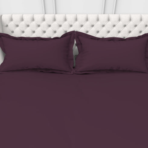 Alley Solid 100% Cotton 300 TC Fitted Sheet with 2 Pillow covers- Extra Soft - Easy Care- Hyperallergenic
