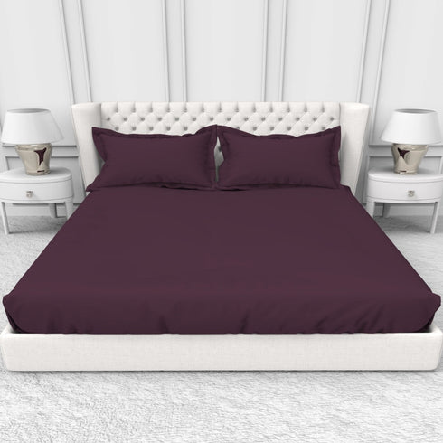 Alley Solid 100% Cotton 300 TC Fitted Sheet with 2 Pillow covers- Extra Soft - Easy Care- Hyperallergenic